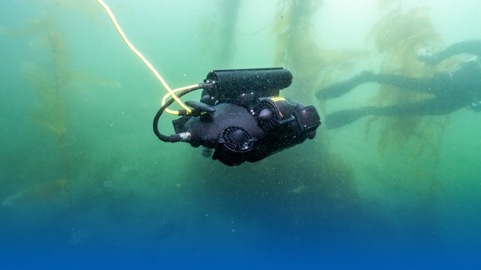 Exploring the Depths of History at the Cerro Cervantes Shipwreck