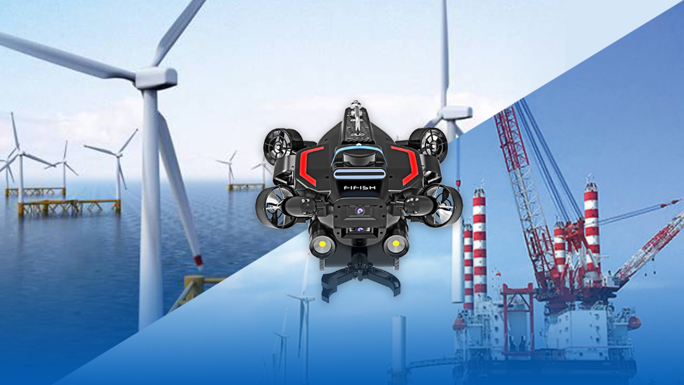 Contributing to the Global Goal of Carbon Neutrality