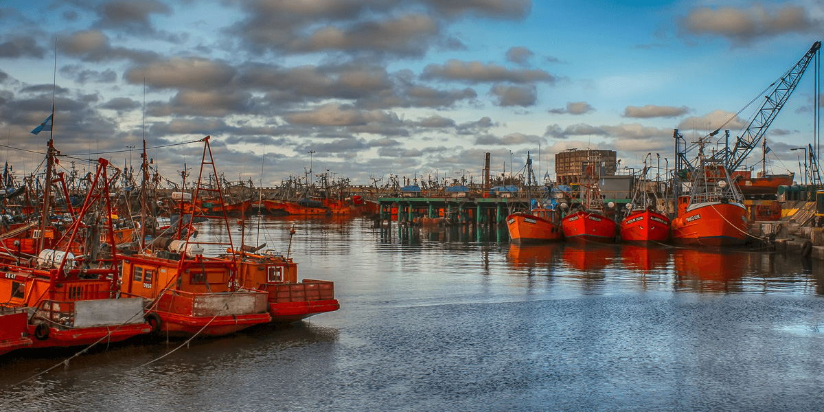 Ship Inspections