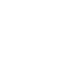 Icon 8