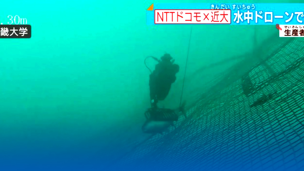Revolutionizing Aquaculture:Japan’s Fish Farm Embraces Smart Technologies