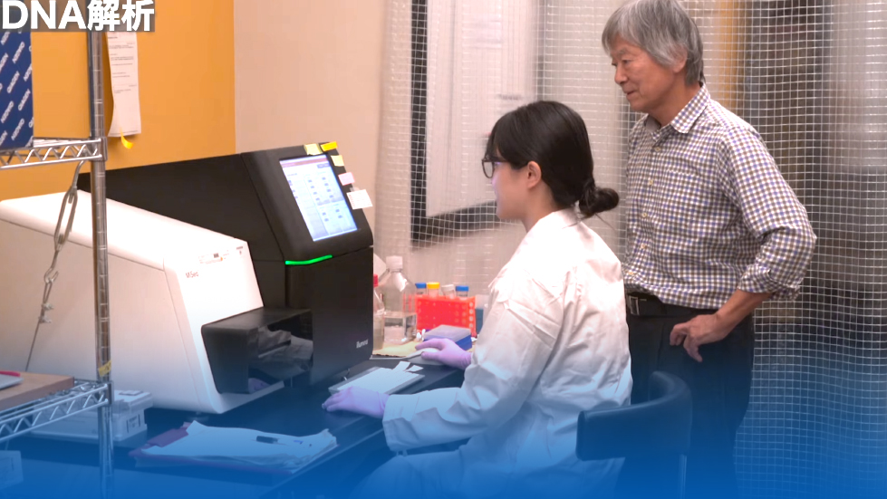 日本のサンゴ礁保護における新たな視点