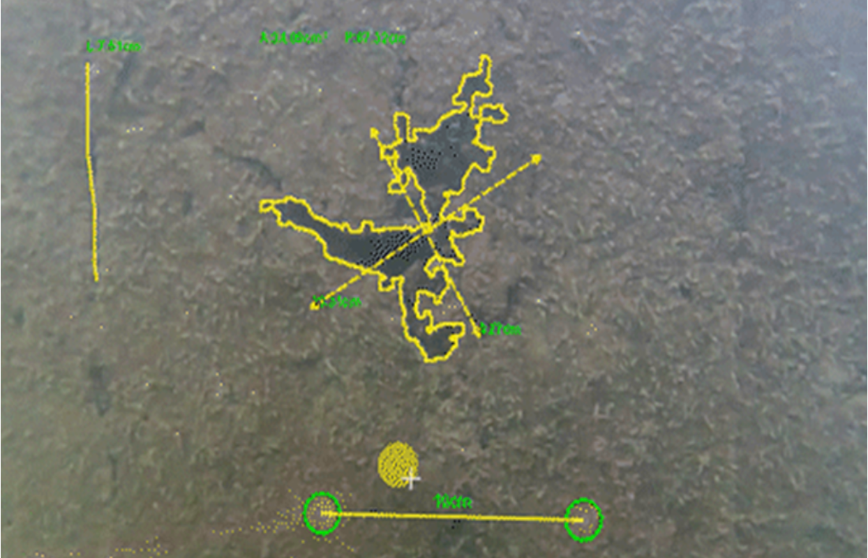 AI Adaptive Measurement