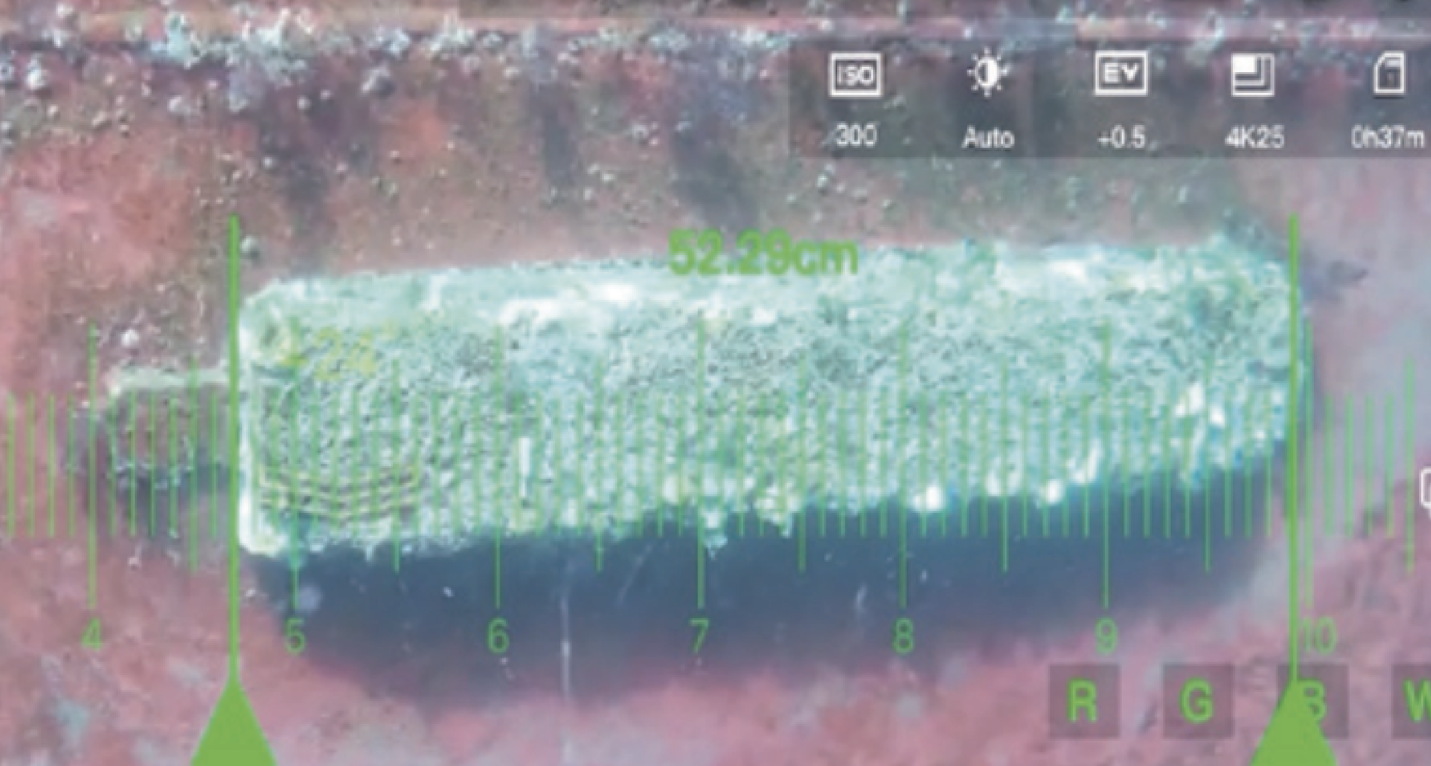 AR Ruler<br>Real-time Measurement