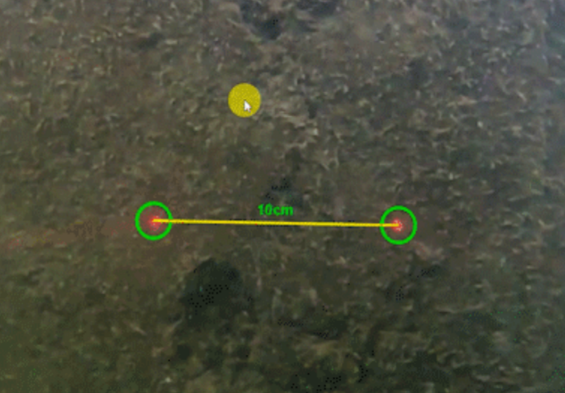 Linear & Angle Measurement