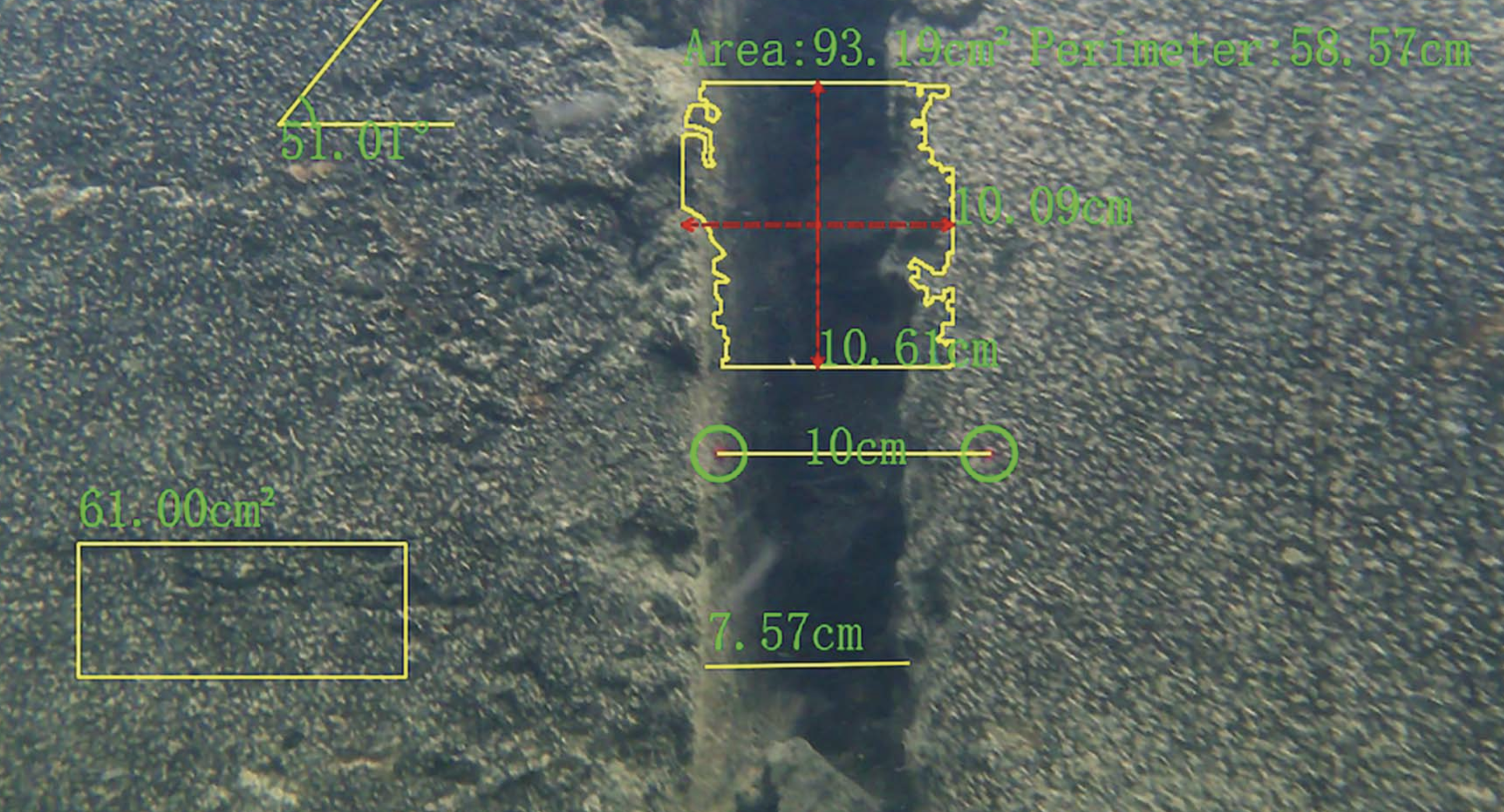 AI Adaptive Measurement