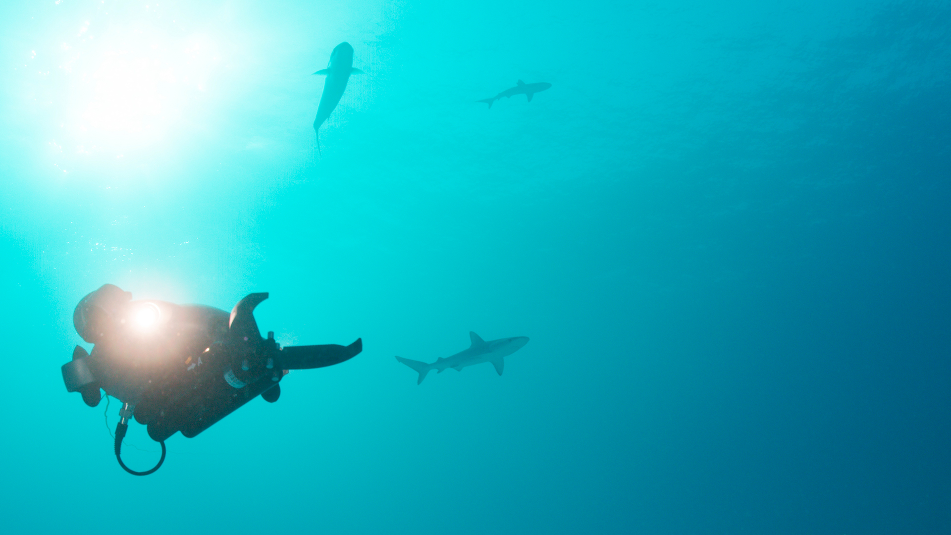 Ocean Science & Research