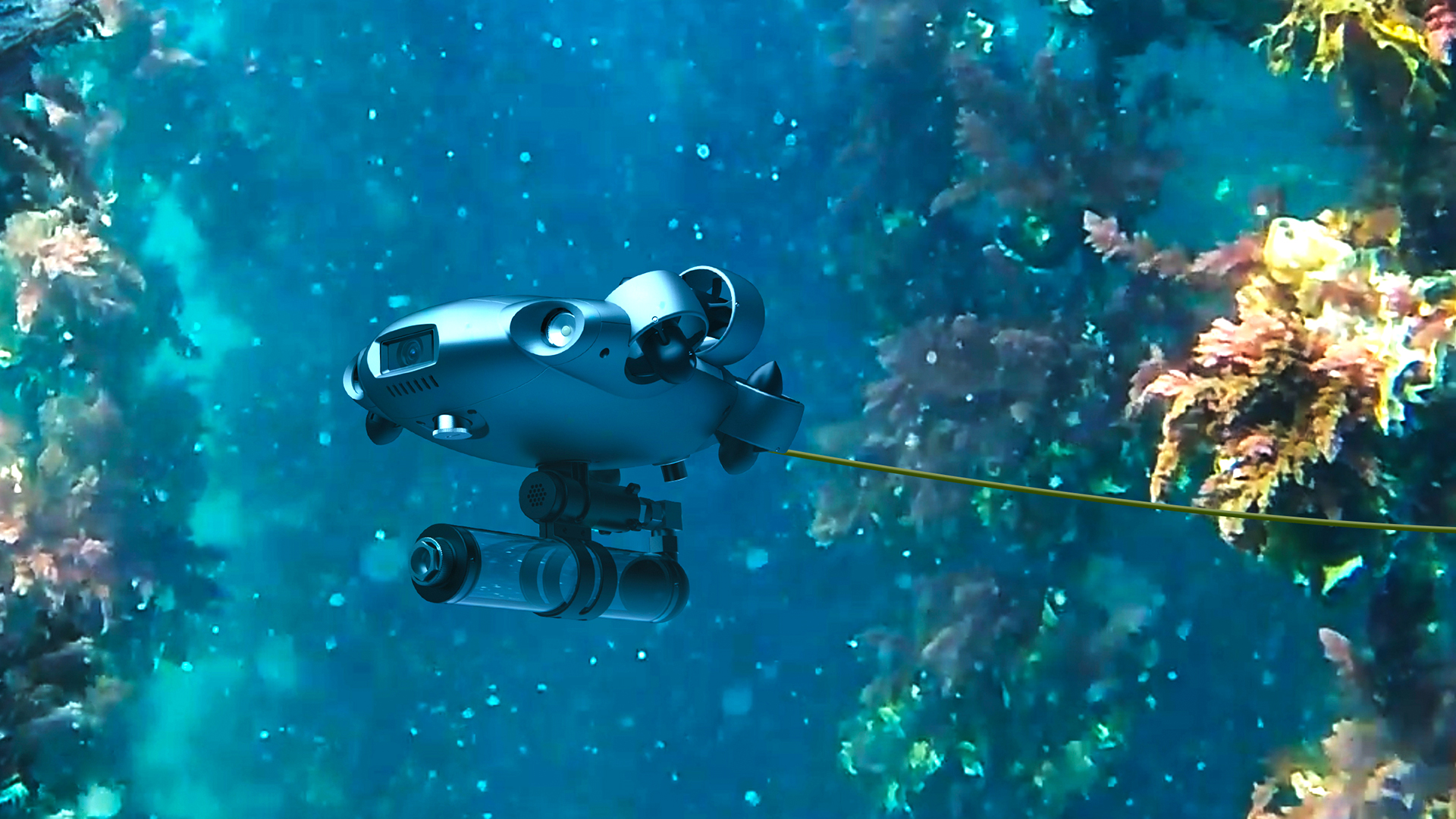 Marine Conservation