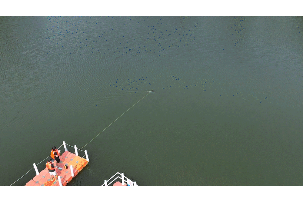 Achieve Automatic Navigation & Surveying